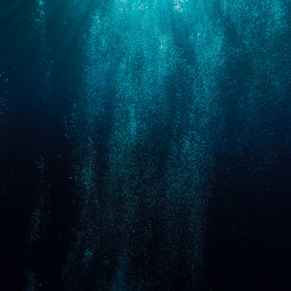 Deep Sea<br>Energetics